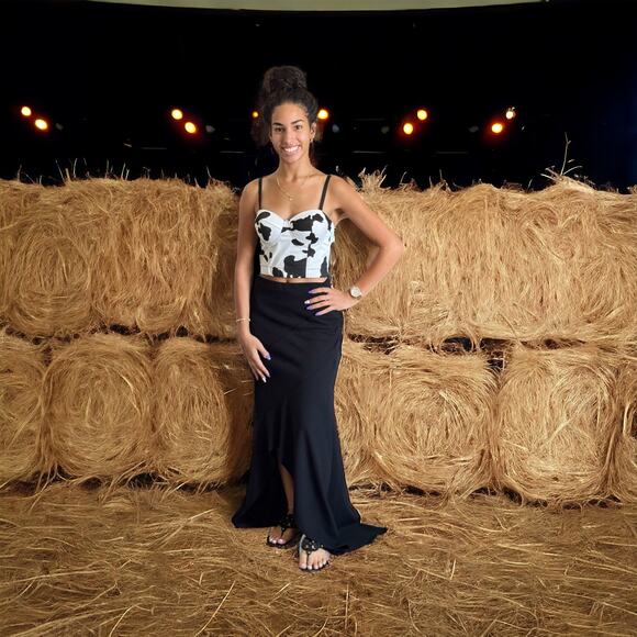 Cow Print Corset Crop Top | Micas| Size Small - Picture 1 of 3